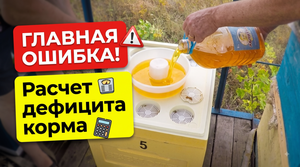 Закормка пчёл сахарным сиропом в зиму: пропорции и сроки