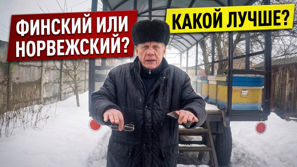 Финский и норвежский методы зимовки пчёл: сравнение технологий, плюсы и ошибки