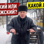 Финский и норвежский методы зимовки пчёл: сравнение технологий, плюсы и ошибки