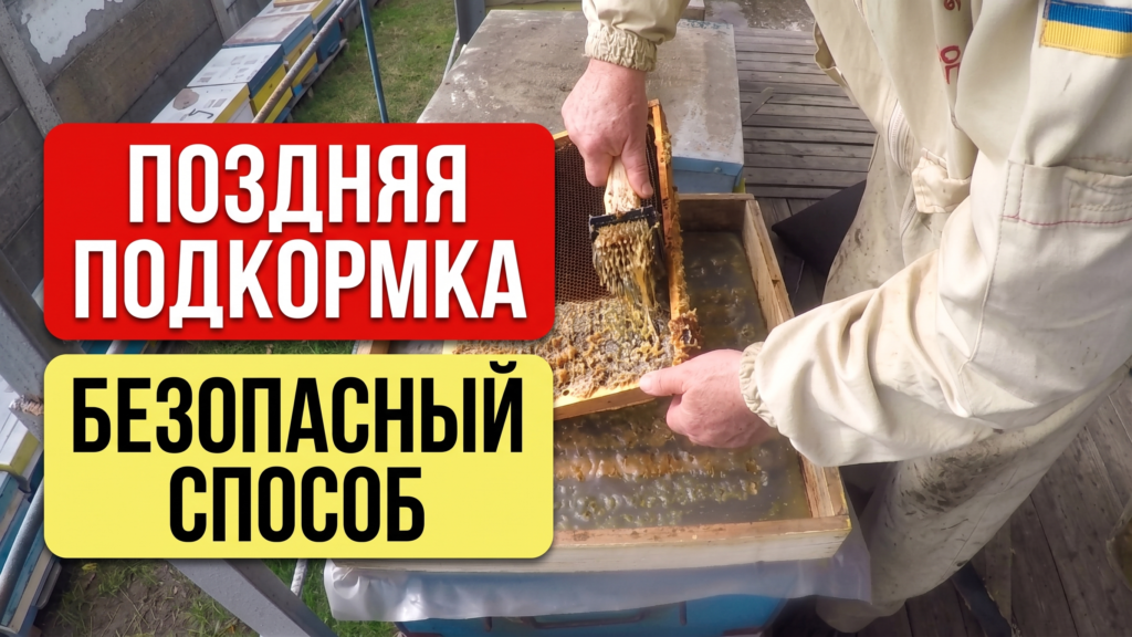 Пополнение кормовых запасов пчёл поздно осенью