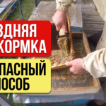 Пополнение кормовых запасов пчёл поздно осенью