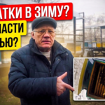 Признаки отсутствия матки в улье перед зимовкой и способы спасения безматочной семьи