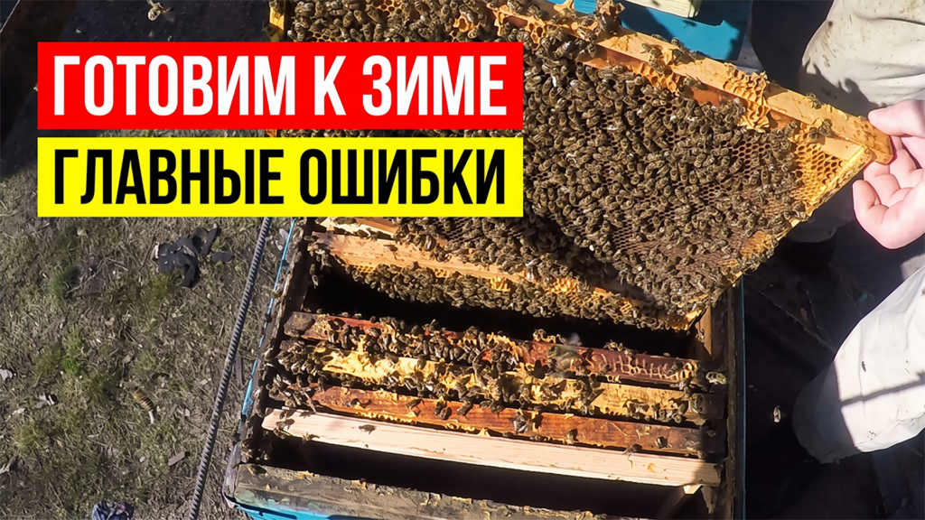 Как собрать гнездо пчёл на зиму — проверка и расстановка рамок
